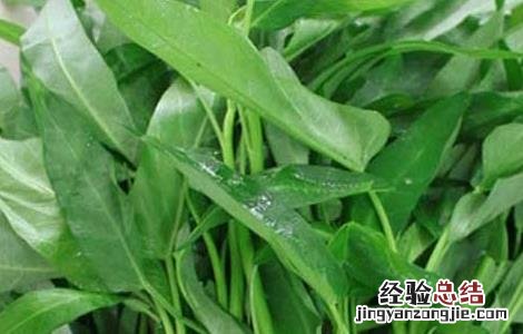 孕妇可以吃空心菜吗晚期 孕妇可以吃空心菜吗