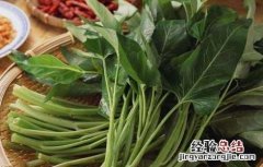 孕妇可以吃空心菜吗晚期 孕妇可以吃空心菜吗
