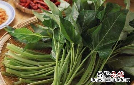 孕妇可以吃空心菜吗晚期 孕妇可以吃空心菜吗