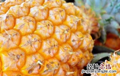 孕妇可以吃菠萝吗?孕早期 孕妇可以吃菠萝吗