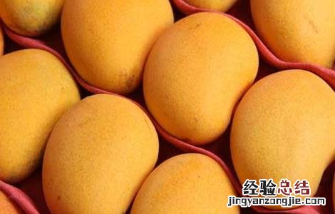 孕妇能吃芒果吗 孕妇能吃芒果吗?孕早期
