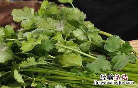孕妇可以吃香菜吗 孕妇可以吃香菜吗对胎儿有影响吗