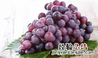 巨峰葡萄是凉性还是热性 巨峰葡萄应该是凉性还是热性