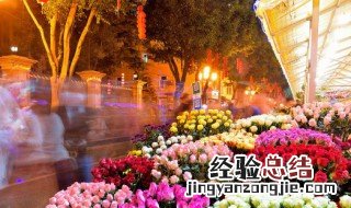25朵玫瑰花语是什么 26朵玫瑰花语是什么