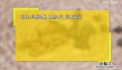 乌梅山楂茶的做法 山楂乌梅茶的功效