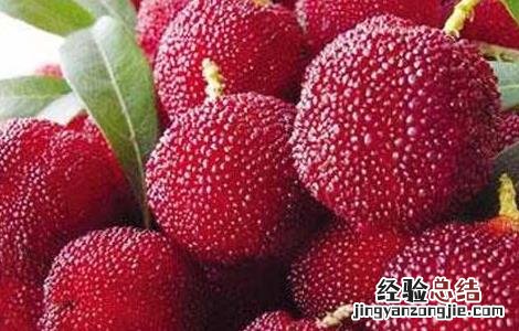 孕妇能吃杨梅吗 孕妇能吃杨梅吗晚期一天吃几个