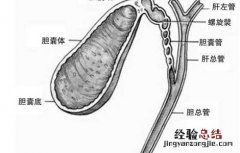 胆结石不能吃什么食物 胆囊炎胆结石不能吃什么食物