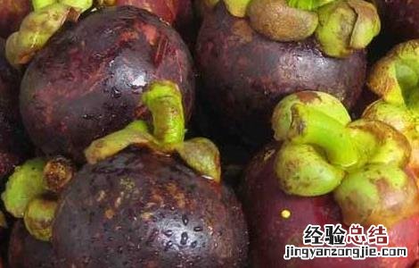 孕妇能吃山竹吗 孕妇能吃山竹吗晚期