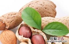孕妇不能吃哪些食物和水果表格图 孕妇不能吃哪些食物