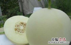 孕妇能吃香瓜吗 孕妇能吃香瓜吗?