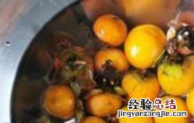 野柿子泡酒的功效与作用是什么 野柿子泡酒的功效与作用