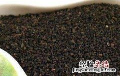 虫屎茶怎么泡才好喝 虫屎茶怎么泡
