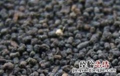 虫屎茶百科 虫屎茶是什么茶