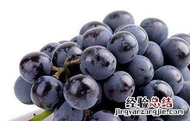 无籽黑提的功效与作用有哪些? 无籽黑提的功效与作用