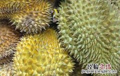 孕妇可以吃榴莲吗 孕妇可以吃榴莲吗?