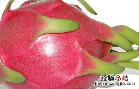 孕妇能吃火龙果吗孕晚期 孕妇能吃火龙果吗