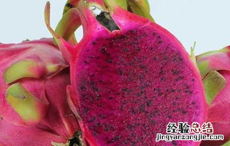 孕妇能吃火龙果吗孕晚期 孕妇能吃火龙果吗