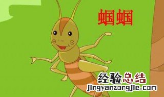 蝈蝈吃什么 它的天敌是什么