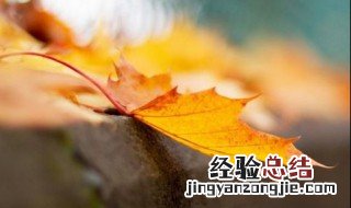 什么时候立秋 立秋的时间