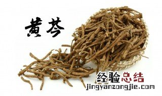 黄芩直接泡开水喝有啥功效 黄芩能不能直接泡水喝