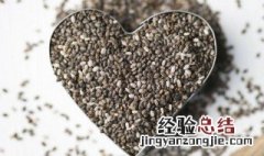 奇亚籽的功效与作用及副作用 奇亚籽的功效与作用