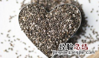奇亚籽的功效与作用及副作用 奇亚籽的功效与作用