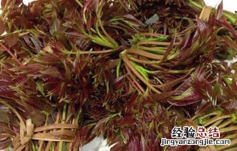 孕妇能吃香椿吗中期 孕妇能吃香椿吗