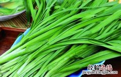 孕妇能吃韭菜吗 初期 一个月 孕妇能吃韭菜吗