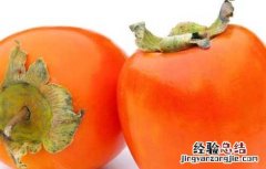 孕妇能吃柿子吗 孕妇能吃柿子吗中晚期