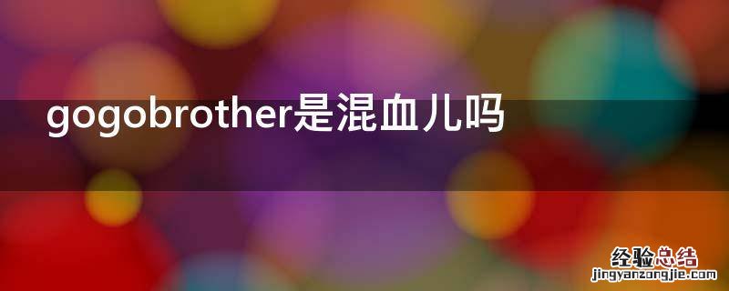 gogobrothers是混血 gogobrother是混血儿吗