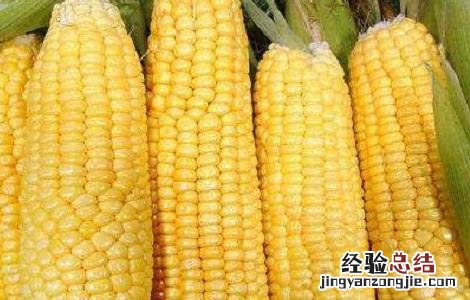 热量低的饱腹食物有哪些 饱腹又热量低的食物