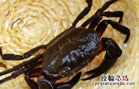 螃蟹放一宿死啦第二天能吃吗 死螃蟹能吃吗