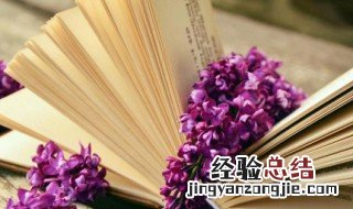 有哪些很美很冷门的古诗句 唯美千古绝句