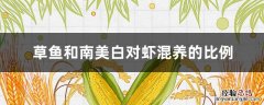 草鱼和南美白对虾混养的比例 南美白对虾饲料比例