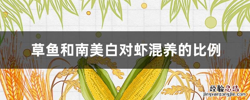 草鱼和南美白对虾混养的比例 南美白对虾饲料比例