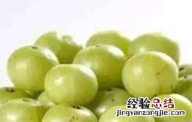 醋栗粉的副作用 印度醋栗粉的作用和功效