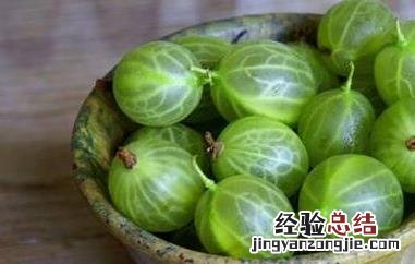 醋栗粉的副作用 印度醋栗粉的作用和功效