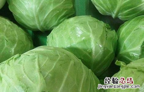 健脾养胃的食物有哪些最佳 健脾养胃的食物有哪些