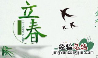 立春吃什么食物 这些都是立春要吃的食物
