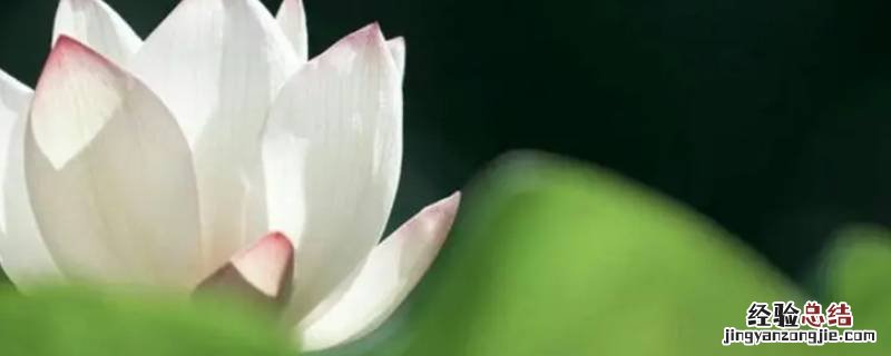 因果何曾饶过人的上句 因果何曾饶过谁上一句是什么