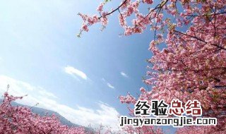 成都3月看花的景点推荐 成都3月看花的景点推荐