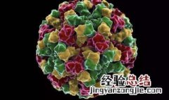 诺如病毒会死人吗 什么是诺如病毒