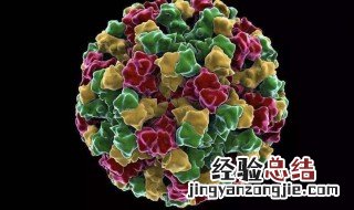 诺如病毒会死人吗 什么是诺如病毒
