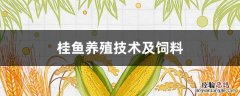 桂鱼苗喂什么饲料 桂鱼养殖技术及饲料