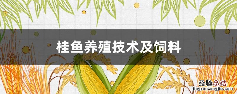 桂鱼苗喂什么饲料 桂鱼养殖技术及饲料