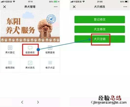 金华狗证办理 金华市养犬登记网上办理入口