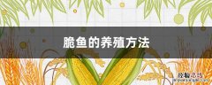 脆鱼的养殖方法 脆鱼养殖技术