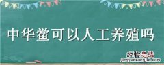 鲎有没有人工养殖 中华鲎可以人工养殖吗