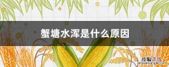 蟹塘早上水浑下午水清的原因 蟹塘水浑是什么原因