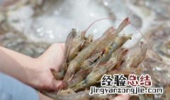 刚买回来的虾怎么存放 储存虾的方法